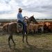 Trump’s Argentina beef import plan will harm U.S. ranchers, industry warns