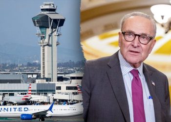 Flight delays worsen as unpaid air traffic controllers feel government shutdown pain