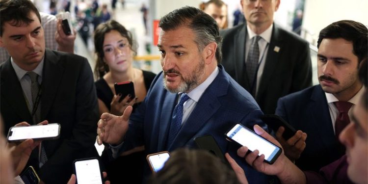 Cruz ‘cannot support’ Trump’s Kuwait ambassador pick over Muslim Brotherhood remarks