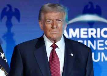 Trump takes aim at ‘BIG, FAT, RICH’ insurance companies, declares the ‘ONLY HEALTHCARE’ he’ll greenlight