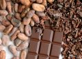 Cocoa prices rebound 12% from 2-year lows amid ICCO’s surprise surplus outlook