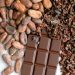 Cocoa prices rebound 12% from 2-year lows amid ICCO’s surprise surplus outlook