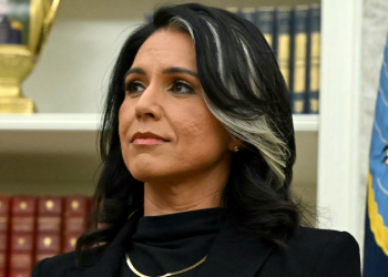 Gabbard ends task force that aimed to reform intelligence gathering after less than a year